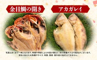  訳あり 干物 4.5kg おまかせ 詰め合わせ セット 静岡県沼津市のサムネイル画像 3枚目