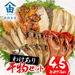  訳あり 干物 4.5kg おまかせ 詰め合わせ セットの画像 1枚目