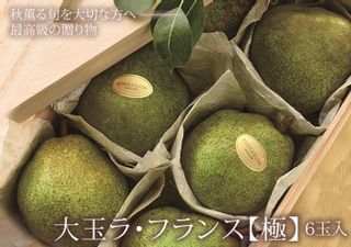 大玉 ラ・フランス 【極】 5L 6玉入  清川屋のサムネイル画像 1枚目