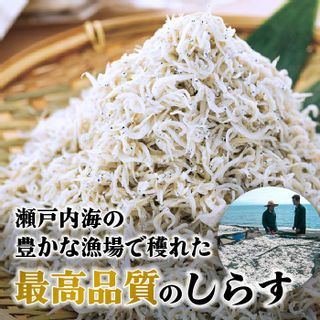 愛媛県産 大容量 贅沢 しらす 800g ( 200g × 4パック ) の画像 2枚目