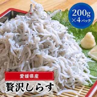 愛媛県産 大容量 贅沢 しらす 800g ( 200g × 4パック )  愛媛県松山市のサムネイル画像 1枚目