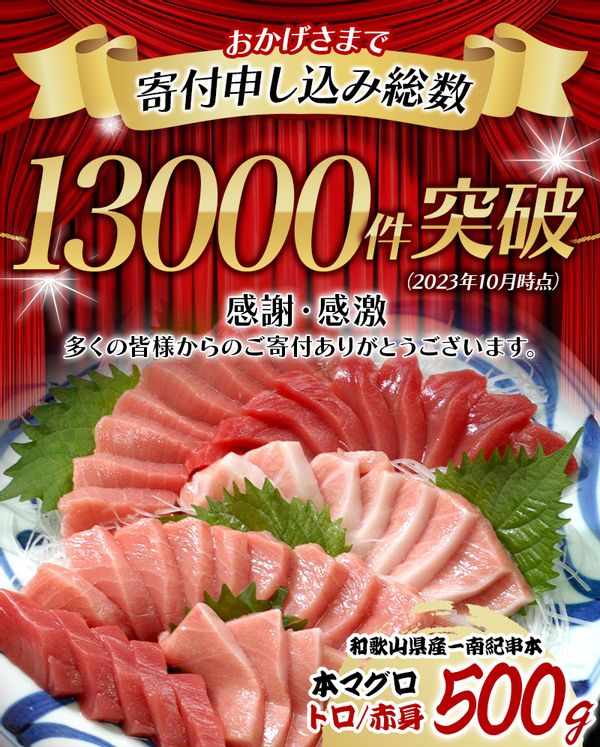 本マグロ（養殖）トロ＆赤身セット 500g  和歌山県串本町のサムネイル画像 2枚目