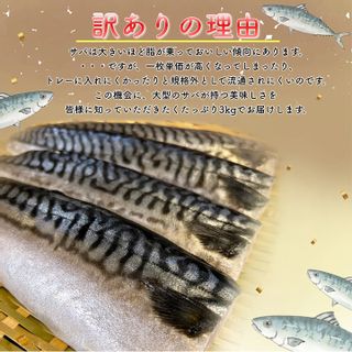 【訳あり】勝浦市の人気の海鮮お礼品 無添加 塩サバ 3kg 千葉県　勝浦市のサムネイル画像 4枚目