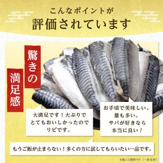 【訳あり】勝浦市の人気の海鮮お礼品 無添加 塩サバ 3kgの画像 2枚目