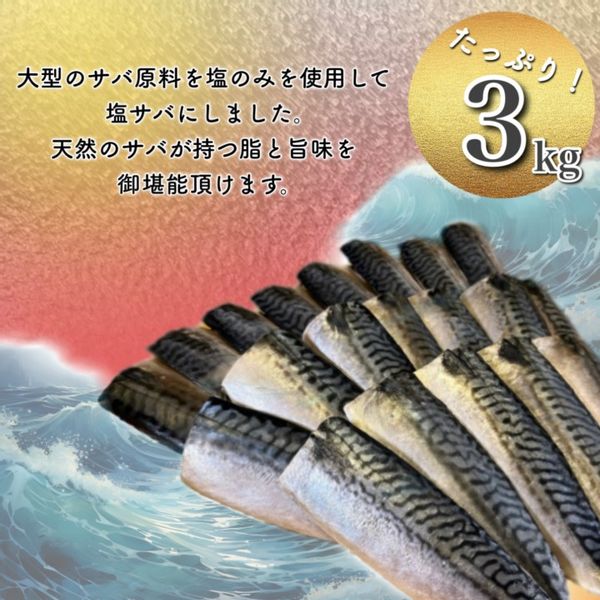 【訳あり】勝浦市の人気の海鮮お礼品 無添加 塩サバ 3kg 千葉県　勝浦市のサムネイル画像 3枚目