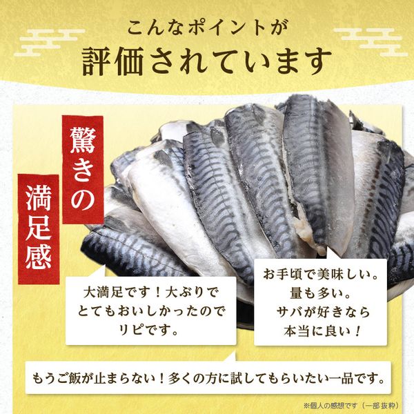 【訳あり】勝浦市の人気の海鮮お礼品 無添加 塩サバ 3kg 千葉県　勝浦市のサムネイル画像 2枚目