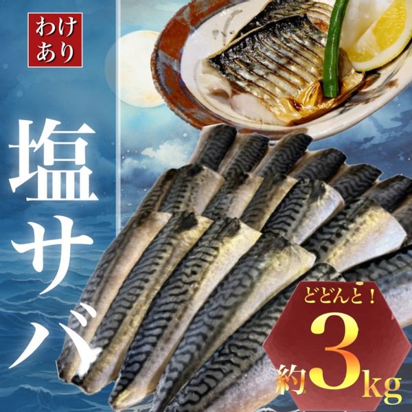 【訳あり】勝浦市の人気の海鮮お礼品 無添加 塩サバ 3kgの画像