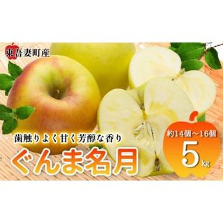 東吾妻町産 りんご ぐんま名月　5kg(14個から16個）  群馬県東吾妻町のサムネイル画像 1枚目