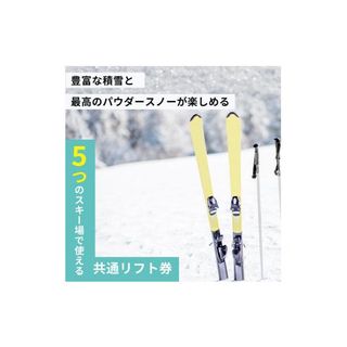 共通スキーリフト1日券（引換券）　2024シーズンの画像 3枚目