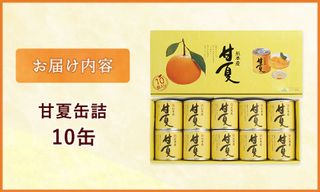 甘夏缶詰10缶入り 熊本県津奈木町のサムネイル画像 2枚目