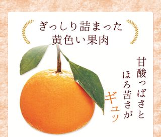 甘夏缶詰10缶入り 熊本県津奈木町のサムネイル画像 3枚目