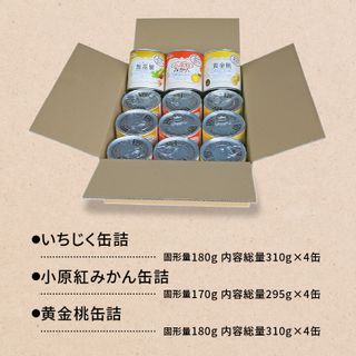 国産 フルーツ 缶詰 12缶の画像 3枚目