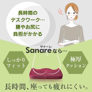 チェアクッション サナーレ 株式会社ドリスのサムネイル画像 3枚目