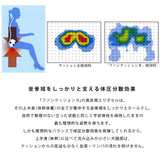 ファンクッションII マニフレックスのサムネイル画像 4枚目