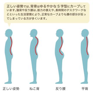 王様の腰枕の画像 3枚目