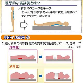 温熱腰まくら 株式会社オーシンのサムネイル画像 3枚目