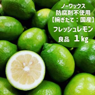 文田農園 大崎上島産フレッシュレモン 1kg おいしい広島！！のサムネイル画像 1枚目