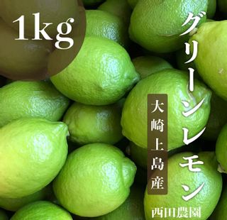 大崎上島産 グリーンレモン 1kg 西田農園のサムネイル画像 1枚目