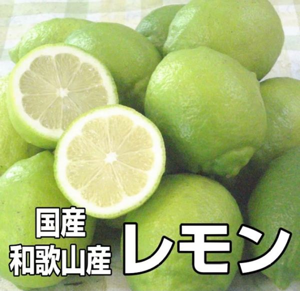 和歌山県産グリーンレモン　1kgの画像