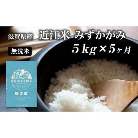 【令和5年度新米】米 定期便5ヶ月 近江米 みずかがみ 無洗米 5kg の画像