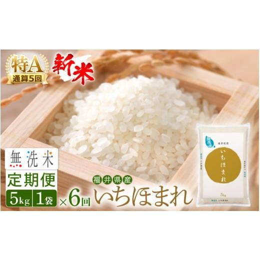 無洗米 定期便≪6ヶ月連続お届け≫いちほまれ 5kg×6回（計30kg）令和5年 福井県産 [e27-d002]の画像