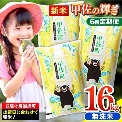 【定期便6ヶ月】『甲佐の輝き』無洗米16kg×6ヶ月（5kg×2袋、6kg×1袋） 熊本県甲佐町のサムネイル画像 1枚目