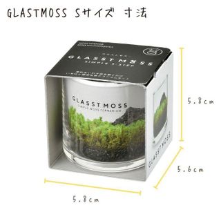 GLASSTMOSS（S） [GD933]の画像 3枚目