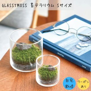 GLASSTMOSS（S） [GD933] 聖新陶芸のサムネイル画像 1枚目