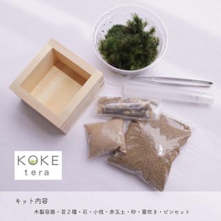 和風 苔テラリウム キット 檜 檜枡 ヒノキゴケ タマゴケ  GRACE HOME（グレイス　ホーム）のサムネイル画像 2枚目