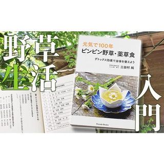 薬草膳処じゅん庵 書籍「ピンピン野草・薬草食」の画像 1枚目