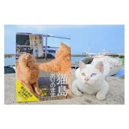 書籍「猫島ありのまま 上天草・湯島」の画像