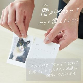 オリジナルPhoto 卓上カレンダーの画像 2枚目