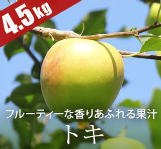 青森りんご　トキ4.5kg(14～22個） REDAPPLE 赤石農園のサムネイル画像 1枚目