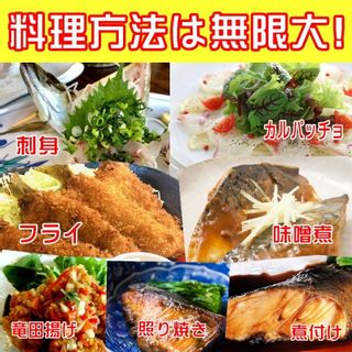 鮮魚セット 小田原 朝獲れ ぎゅうぎゅうセット 5kgの画像 3枚目