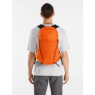 エアリオス 15 バックパック ARC'TERYX（アークテリクス）のサムネイル画像 4枚目