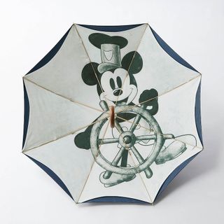 【DisneyFantasyShop30周年限定品】 内側デザインの２枚張り長傘の画像 1枚目