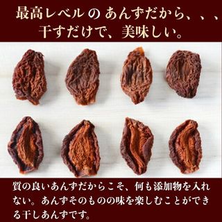 横島物産 天日干しあんず（100g） 株式会社横島物産のサムネイル画像