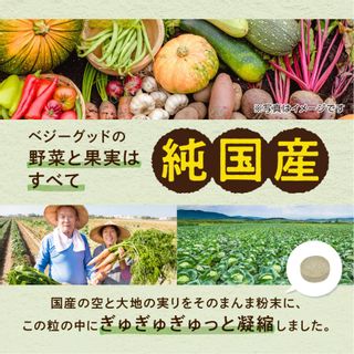 Vegegood aequalis（イコリス）のサムネイル画像 4枚目