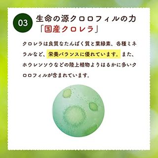 野菜力・乳酸菌プラス 健康家族のサムネイル画像 4枚目