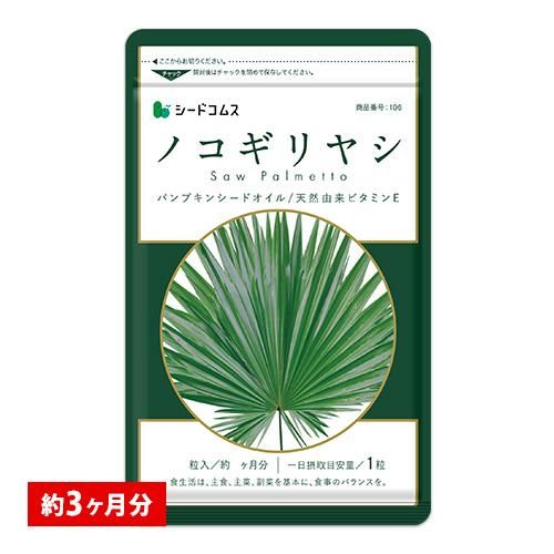 ノコギリヤシ シードコムスのサムネイル画像 1枚目