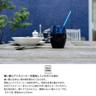 ペーパーストロー 20本セット Hello Straw（ハローストロー）のサムネイル画像 3枚目