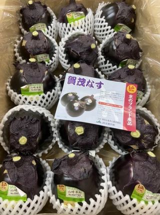 賀茂茄子　かもなす　*L～2Lサイズ*約1kg(3～4玉/1個あたり約250～300g）の画像 2枚目