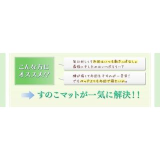 すのこマット 折りたたみ アイリスオーヤマ株式会社のサムネイル画像 3枚目