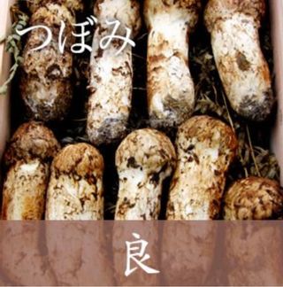 岩手県三陸 松茸 つぼみ 良（200g） マルコシ商店のサムネイル画像