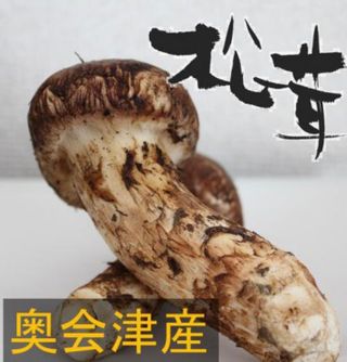 【国産】【天然きのこ（キノコ）】　国産松茸　蕾・軸太の大型極上品 200g 奥会津旬菜館のサムネイル画像