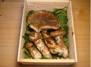 山形産松茸 ミックスの画像 1枚目