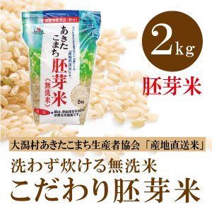 あきたこまち胚芽米 無洗米 鉄分強化(2kg) 大潟村あきたこまち生産者協会のサムネイル画像 1枚目