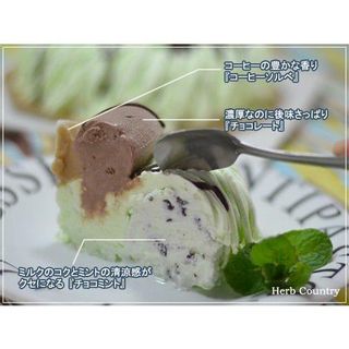 チョコミントアイスケーキ（ドーナッツ型）5号 サンファーム乳業のサムネイル画像 3枚目