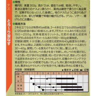 とろーり旨なす  トキタ種苗のサムネイル画像 2枚目