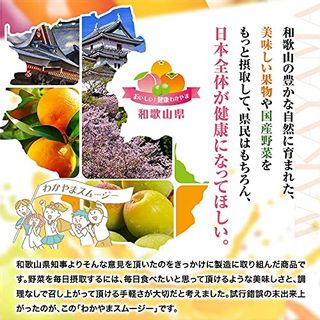 ふみこ農園 スムージー ドリンクギフト わかやま国産野菜と和歌山フルーツのスムージー 6本入 ふみこ農園のサムネイル画像 3枚目